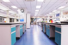 二级生物安全洁净实验室的设施设备要求