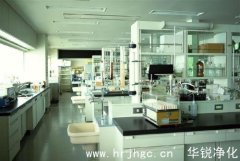 P4实验室的建设要求是什么？