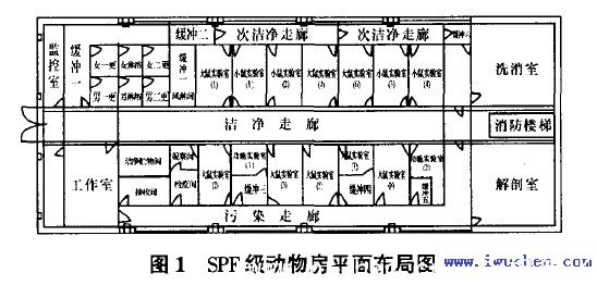 实验动物房平面布置图