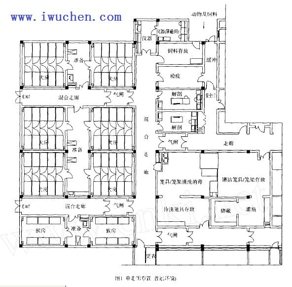 spf动物房工程布置图