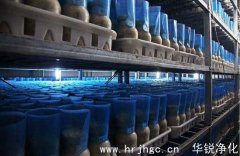 小型食用菌工厂化生产方案