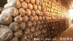 食用菌工厂化接种室设计方案