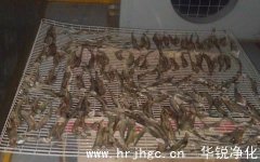 湖南室内气候控制公司给您分享虾类烘干房